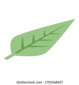 Tea leaf icon. Isometric of tea leaf vector icon for web design isolated on white background