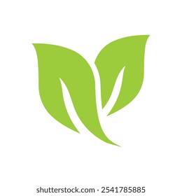 tea leaf icon vector design isolated white background