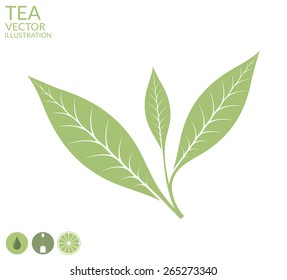 Tea leaf icon. Vector illustration EPS. Isolated tea leaves on white background. Green tea sign