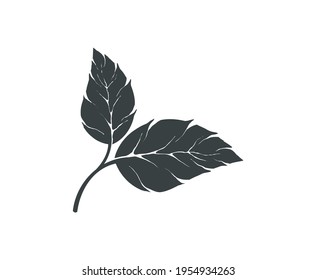tea leaf icon vector isolated on white