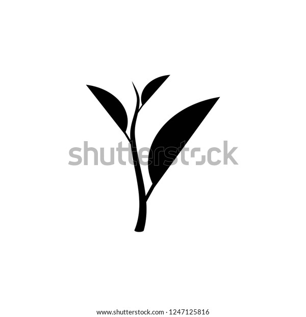 Tea Leaf Icon Vector On White Stock Vector (Royalty Free) 1247125816
