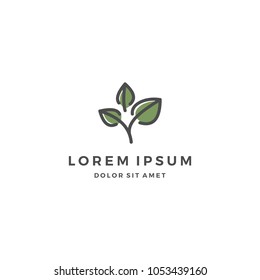 Tea Leaf Logo Design Template