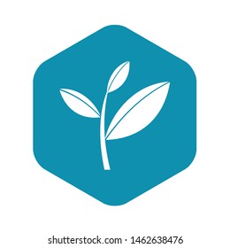 Tea leaf sprout icon. Simple illustration of tea leaf sprout vector icon for web