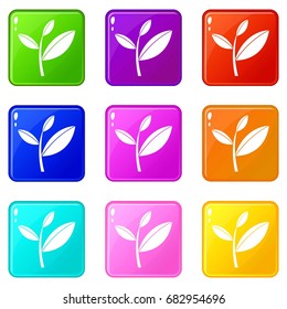 Tea leaf sprout icons of 9 color set isolated vector illustration