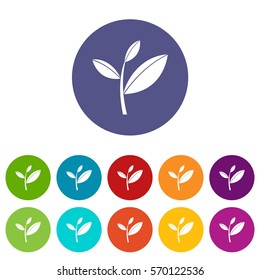 Tea leaf sprout set icons in different colors isolated on white background