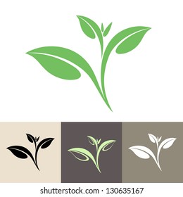 Tea Leaf. Vector Illustration EPS10