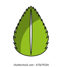 tea leafs product icon