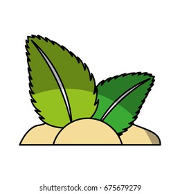 tea leafs product icon