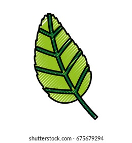 tea leafs product icon