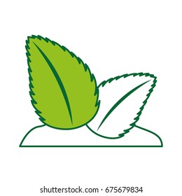 tea leafs product icon