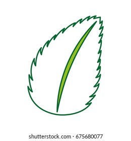 tea leafs product icon