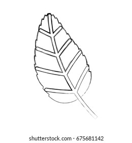 tea leafs product icon