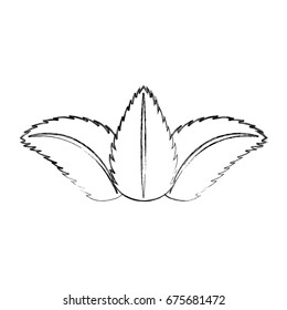 tea leafs product icon