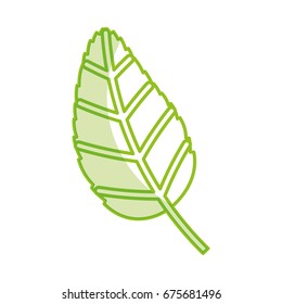 tea leafs product icon