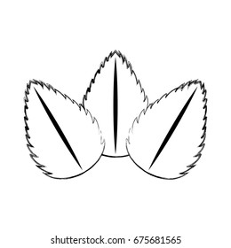 tea leafs product icon