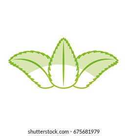 tea leafs product icon