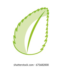 tea leafs product icon