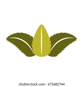 tea leafs product icon
