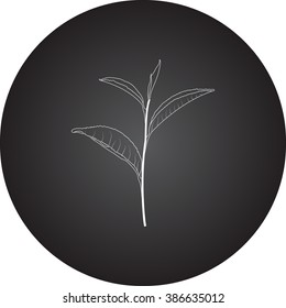 Tea leafs simple icon on round  background