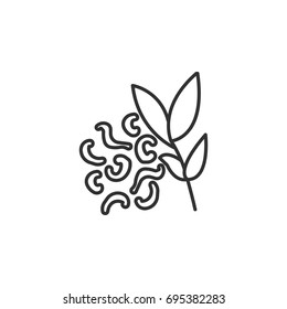 Tea leaves