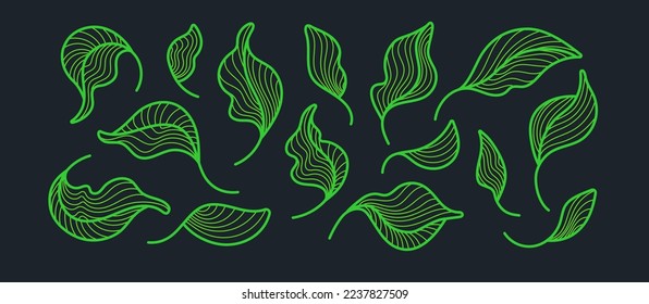 Tea leaves, art set. Graphic line plant, green foliage isolated on black background. Artdeco simple nature collection svg