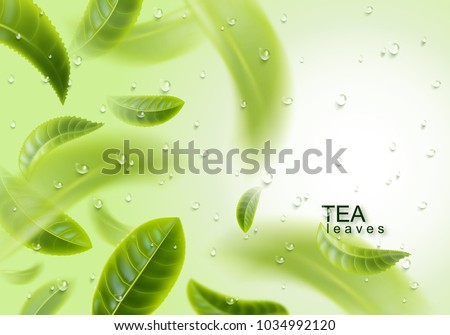 Tea leaves background. Green tea and water drops. Tea leaves whirl in the air. Vector illustration.