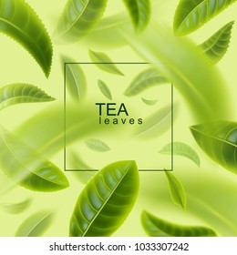 Tea leaves background. Green tea. Tea leaves whirl in the air. Vector illustration.