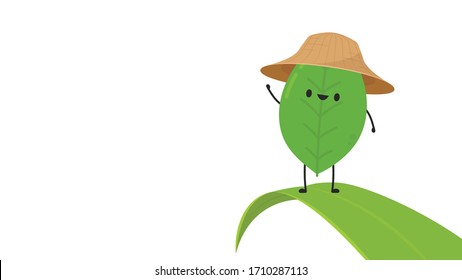 Tea leaves character. tea leaves on white background. wallpaper. Matcha character design.