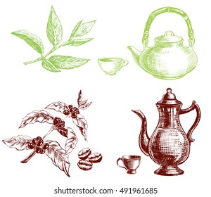 Tea leaves and coffee branch with beans. Teapot and coffee pot.