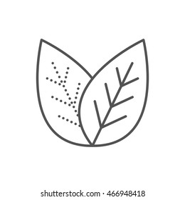 Tea Leaves. Flat Design. Thin Line Leaf Icon. Vector Illustration Isolated On White Background. Black And White Logo.