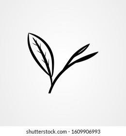 Tea leaves flat vector illustration