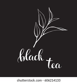 Tea leaves with letters as design elements.Hand drawn sketch black and white isolated on black background. Hand whiting letters.