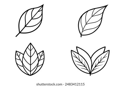 Tea leaves line art food illustration natural elegance