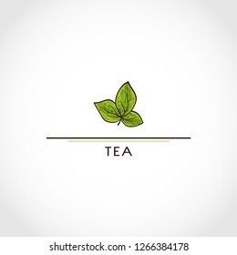 Tea,  leaves. Logo, emblem. Sketch.