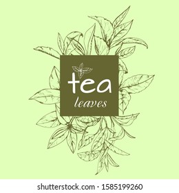 tea leaves logo, hand-drawn leaves and branches of tea, sketch