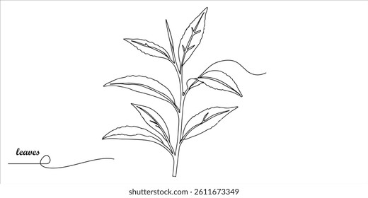 Tea leaves nature continuous single line art drawing sketch on white background	
