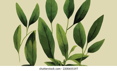 tea leaves on isolated background