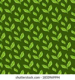 Tee Blätter Muster. Nahtlose Blumenmuster und Kräutermuster auf dunkelgrünem Hintergrund. handgezeichnet, hintergrund. Vektorgrafik. Vektor heller Druck für Gewebe oder Verpackung.