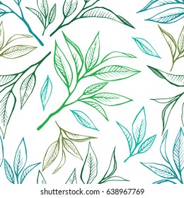 Tea leaves seamless pattern. Food vector background in hand drawn style. Colorful contour on white.