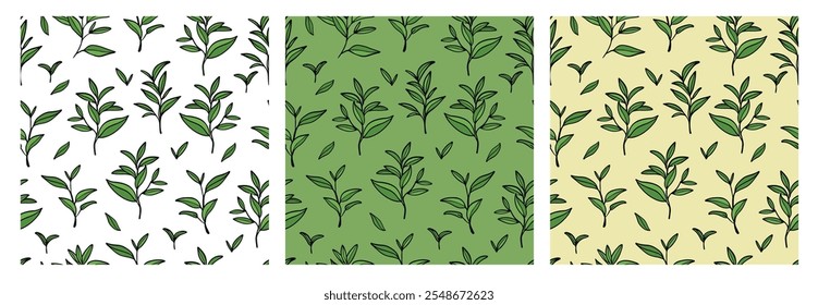 Tea leaves seamless pattern. Hand drawn branches and leaves on white and green background. Set of botanical backgrounds.