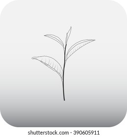 Tea leaves simple icon on square  background