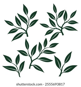 tea leaves vector. tea sprout with leaves. silhouette of tea leaves. tea Leaf silhouette Collection. vector illustration.