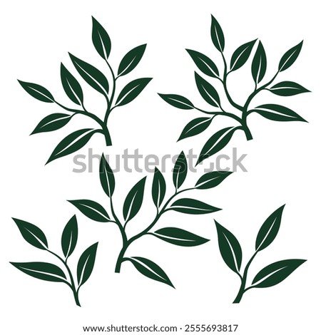 tea leaves vector. tea sprout with leaves. silhouette of tea leaves. tea Leaf silhouette Collection. vector illustration.