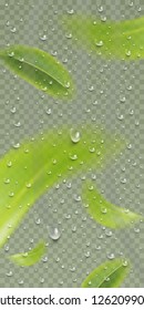 Tea leaves and water drops on a transparent background. Tea leaves whirl in the air. Element for design, advertising, packaging of tea products. Vector illustration.