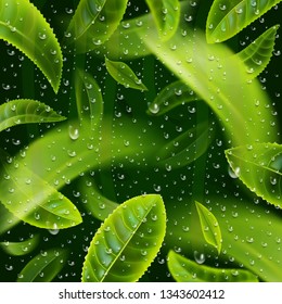 Tea leaves and water drops on dark green background. Tea leaves whirl in the air. Tea packaging design. Vector illustration.