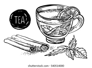 Tea with lemon, mint and cinnamon. Vector hand drawn graphic illustration.