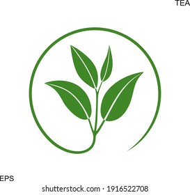 Logo del té.  Té aislado sobre fondo blanco
