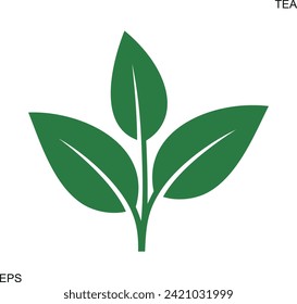 Tea logo. Isolated tea on white background