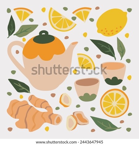 Tea party illustrations collection. Light kitchenware. Ginger and lemon drink, teapot, mugs, lemon, mint. Cozy vector illustration
