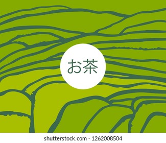 Tea plant fields. Vector tea plantation on cascades field. Tea title on Japanese